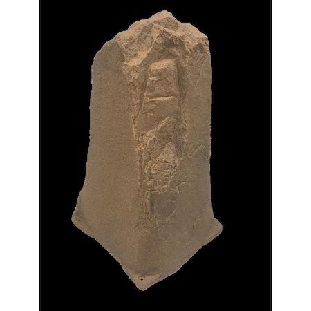 Invernadero Artificial Rock, Autumn Bluff IN2945688